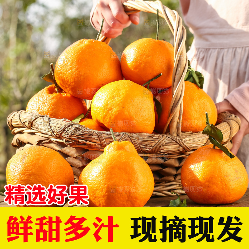 手里拿着丑八怪
