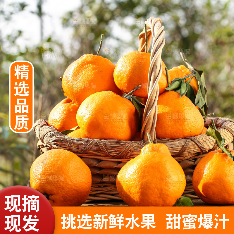 草地上的耙耙柑