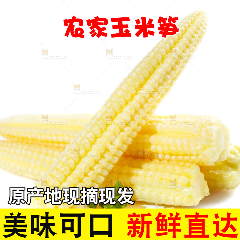 白底上的珍珠笋