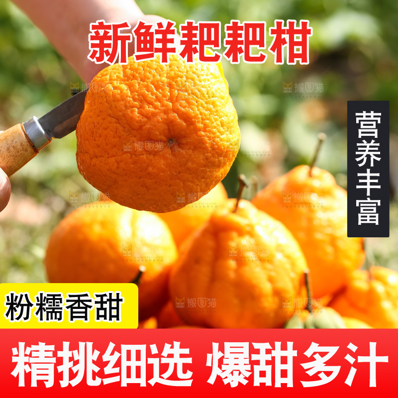 草地上的耙耙柑