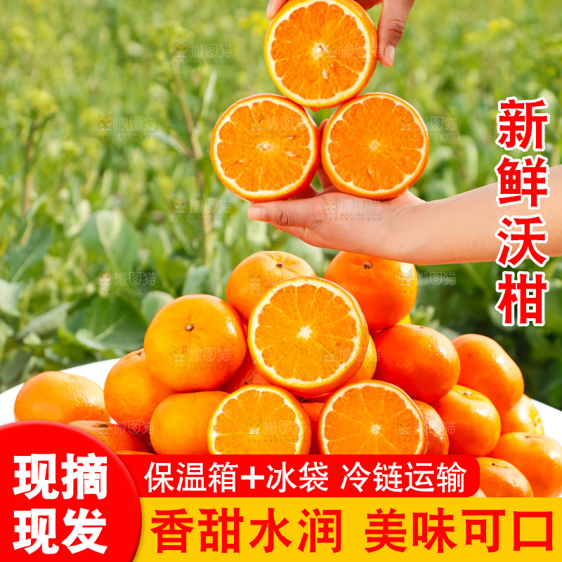 手里拿着沃柑