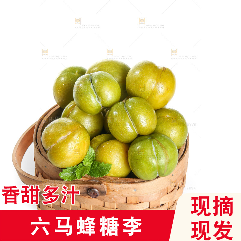 白底上的蜂糖李