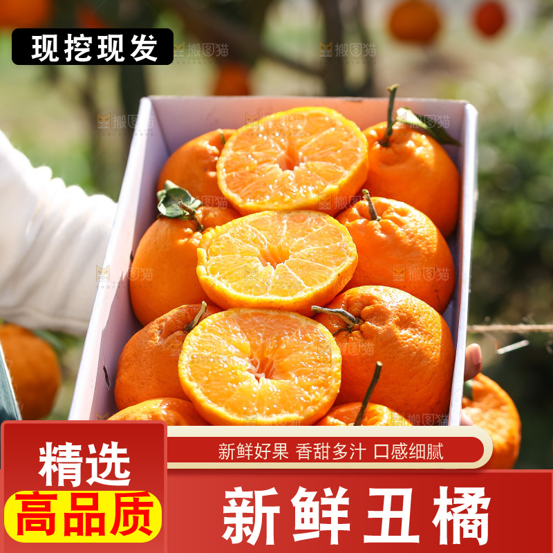 手里拿着丑八怪