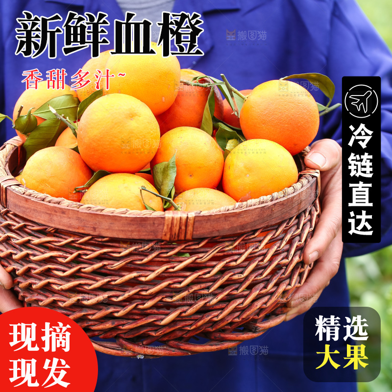 手里拿着赣南血橙