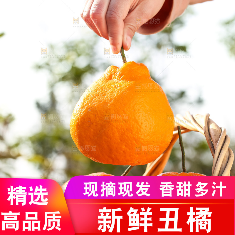 手里拿着丑八怪