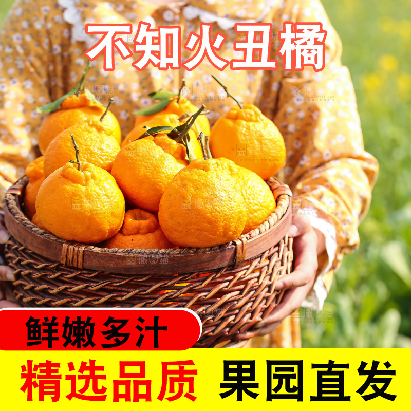 手里拿着丑八怪