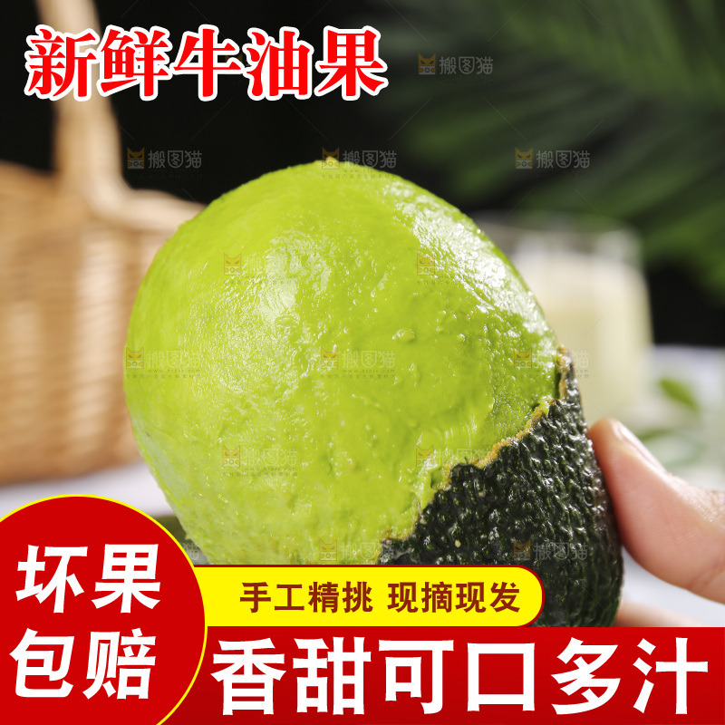 浅底上的巨无霸牛油果