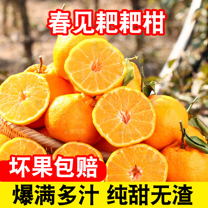 草地上的耙耙柑