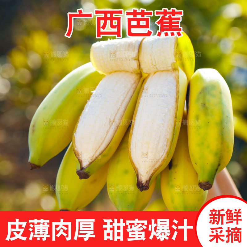 手里拿着广西芭蕉