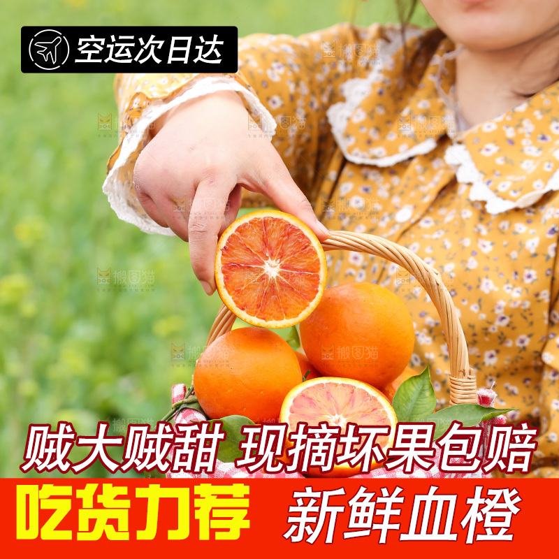 手里拿着赣南血橙