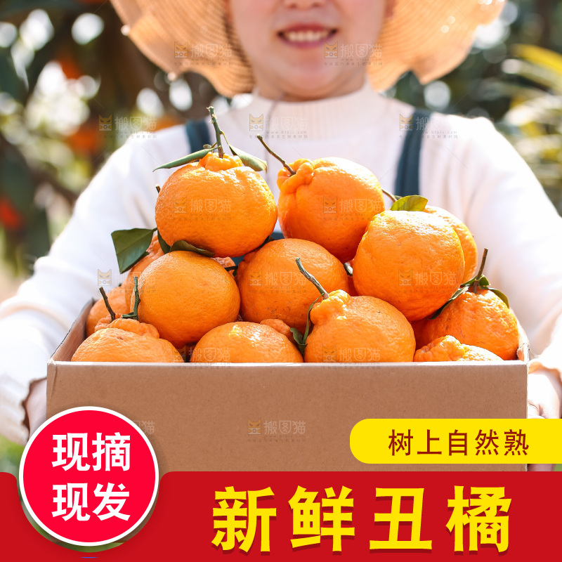 手里拿着丑八怪