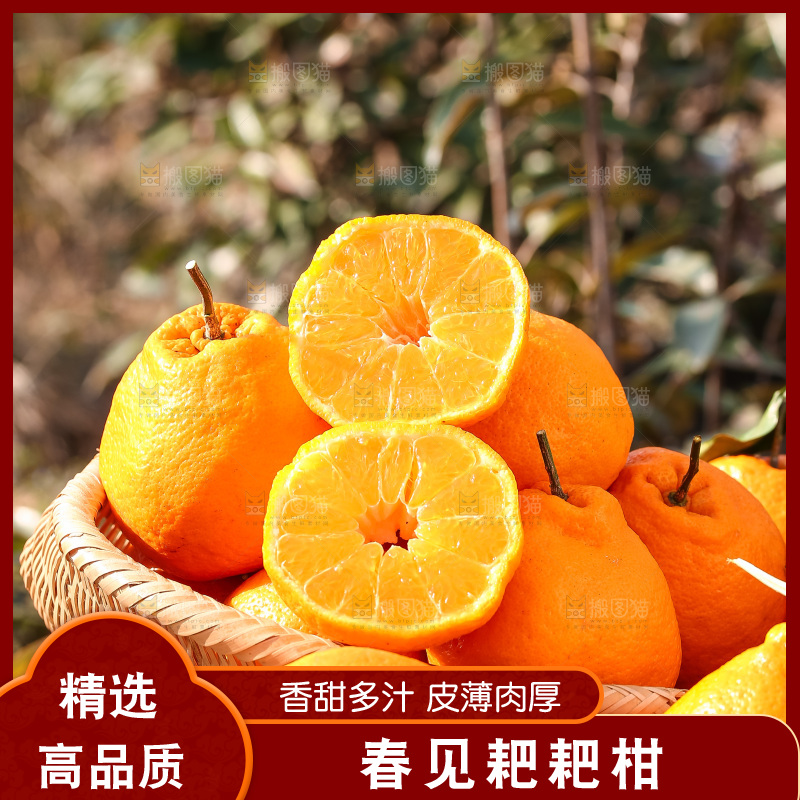 草地上的耙耙柑