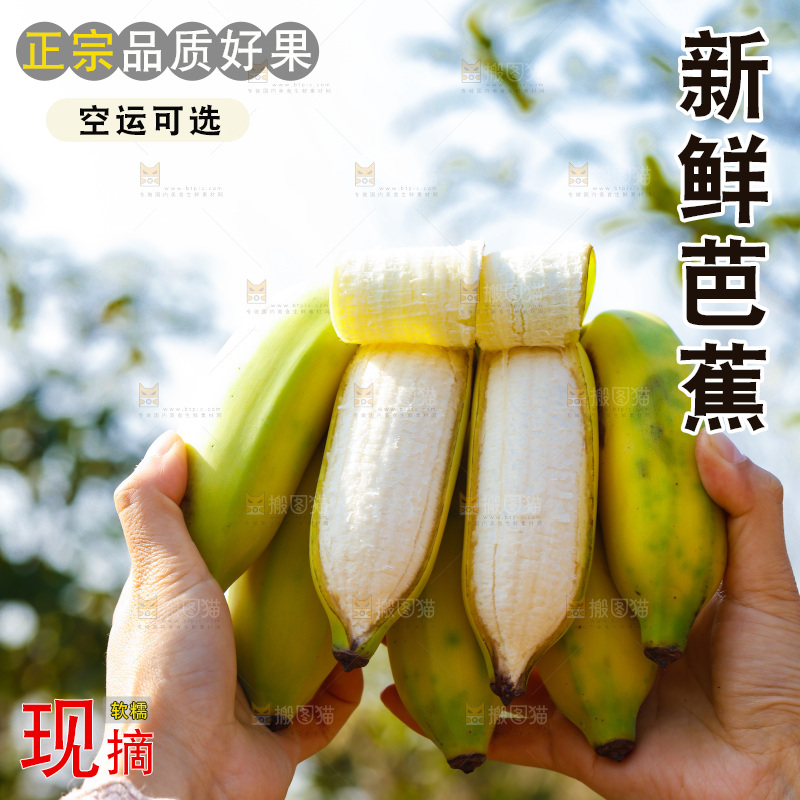 手里拿着广西芭蕉