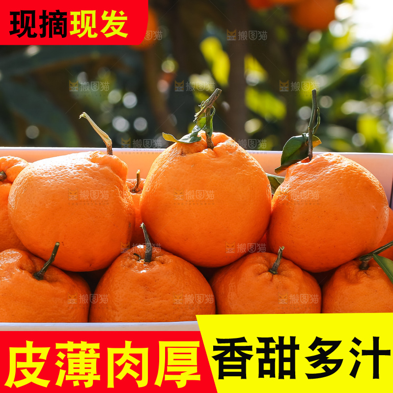 手里拿着丑八怪