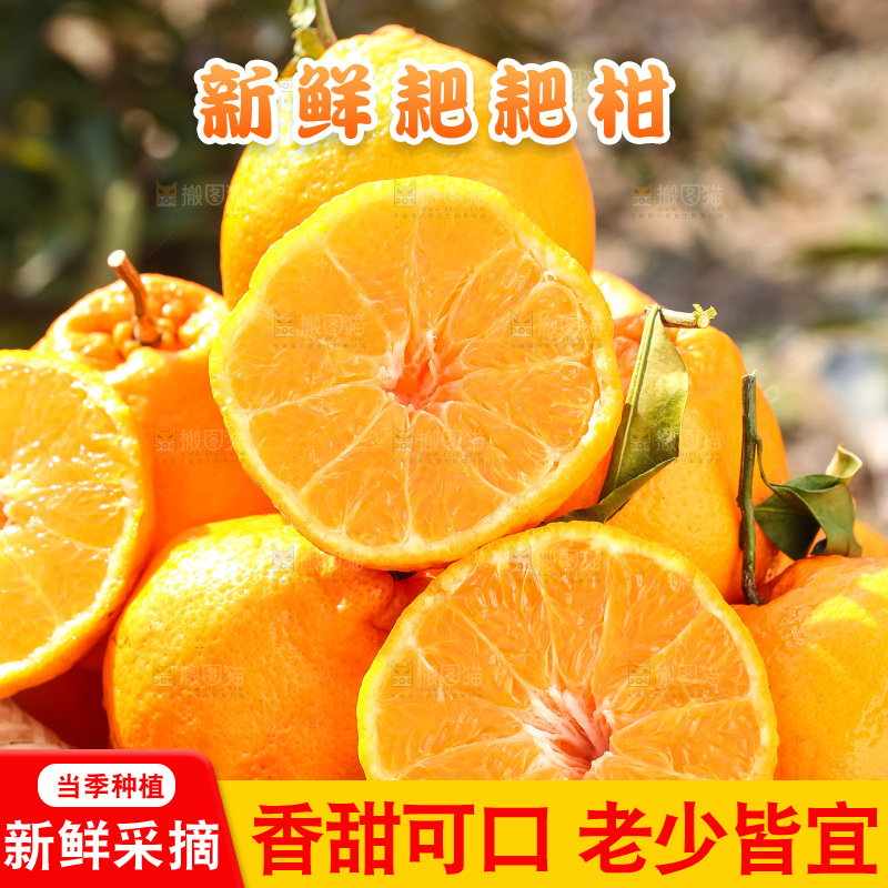 草地上的耙耙柑