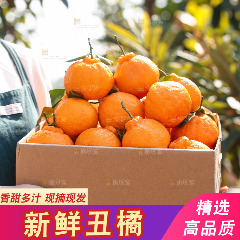 手里拿着丑八怪