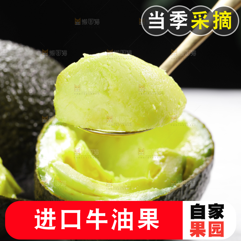 浅底上的巨无霸牛油果