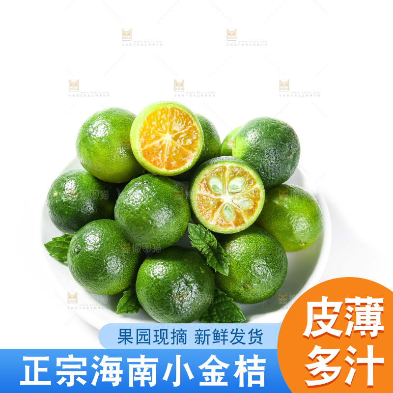 白底上的小金桔
