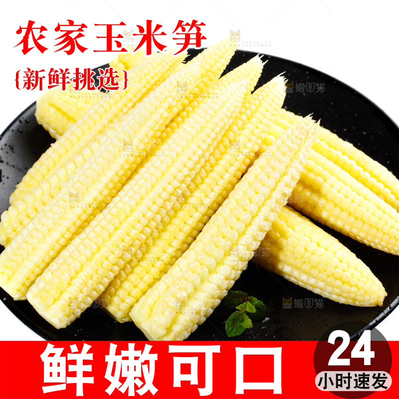 白底上的珍珠笋