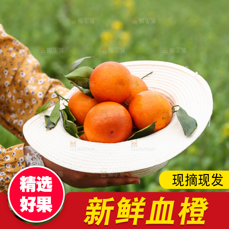 手里拿着赣南血橙