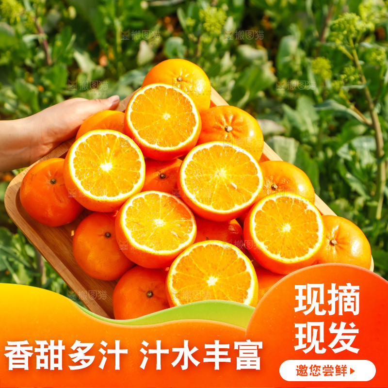 手里拿着沃柑