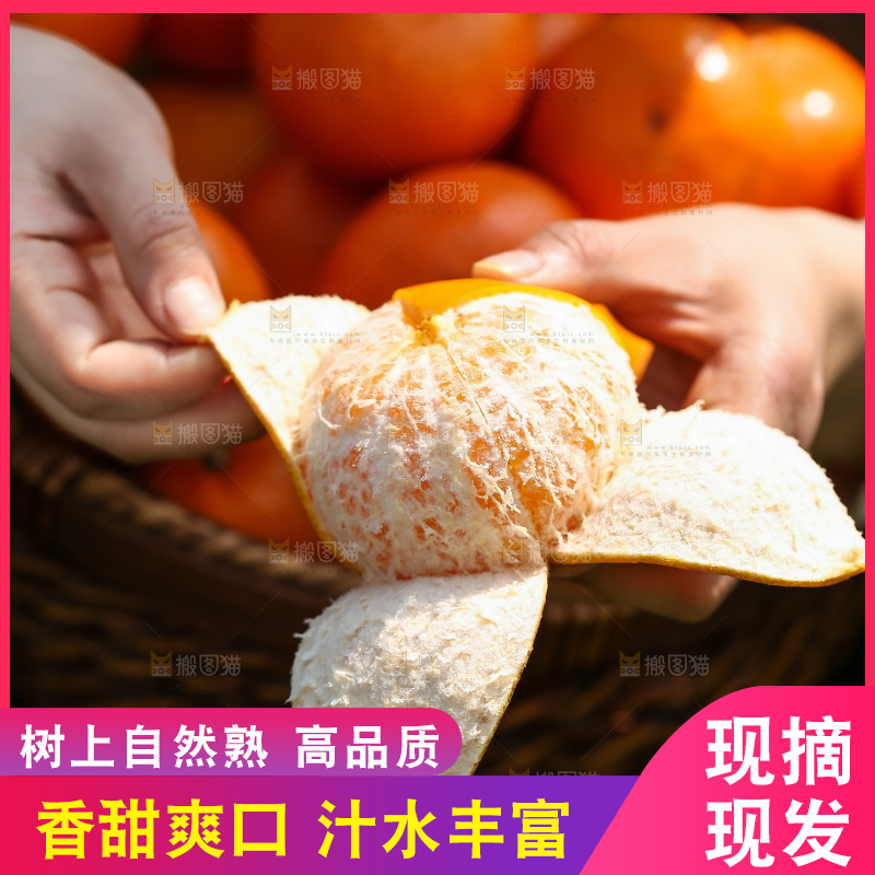 手里拿着新鲜沃柑