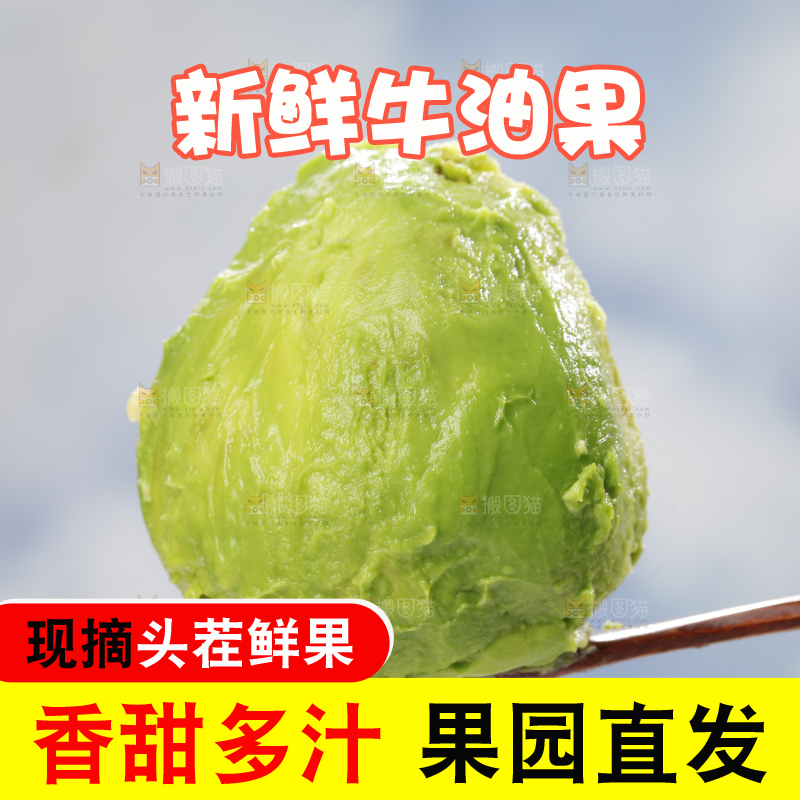 浅底上的巨无霸牛油果