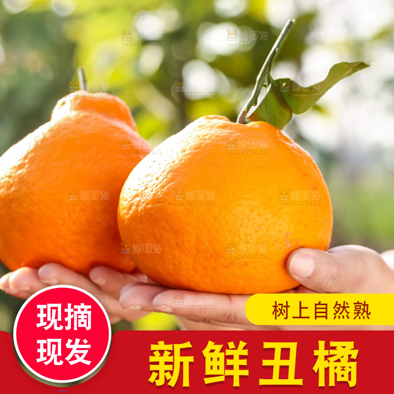 手里拿着丑八怪