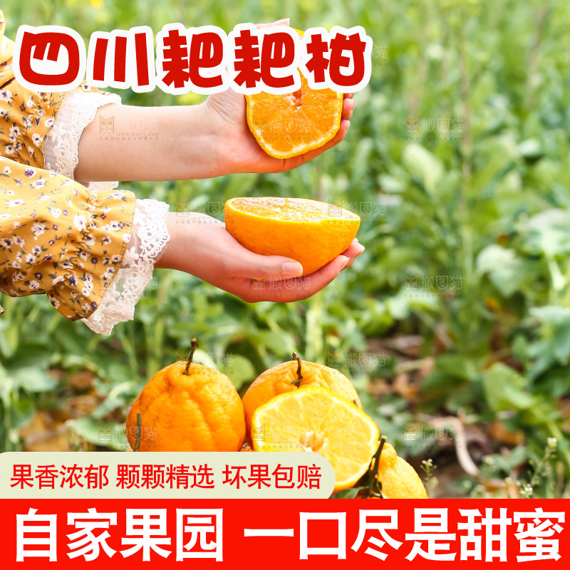 草地上的耙耙柑