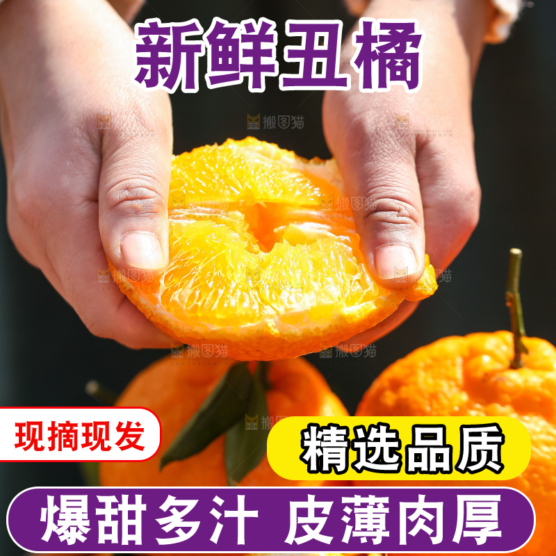 手里拿着丑八怪