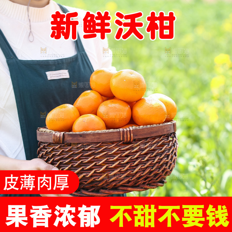 手里拿着新鲜沃柑