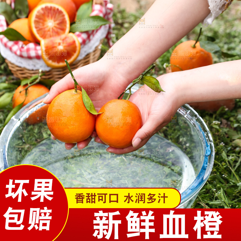 手里拿着赣南血橙