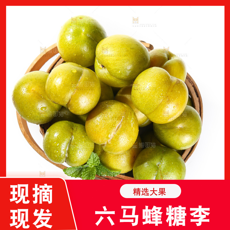 白底上的蜂糖李