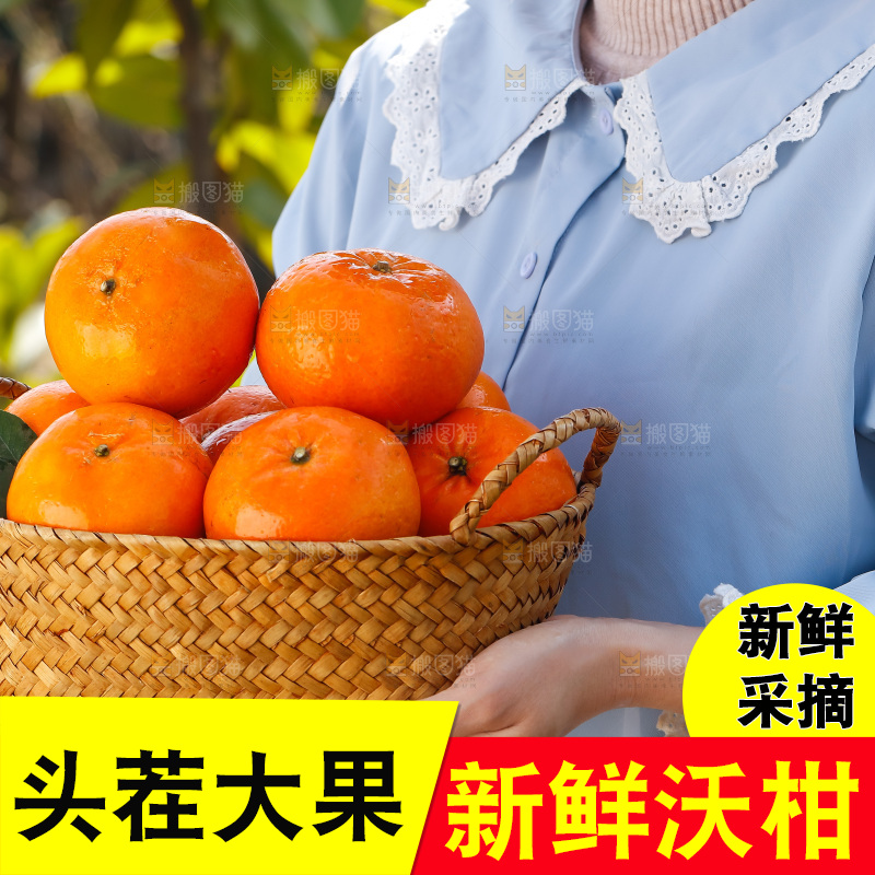 手里拿着沃柑