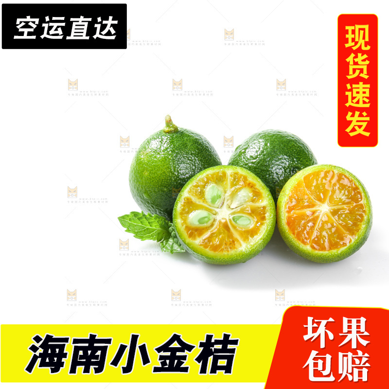 白底上的小金桔