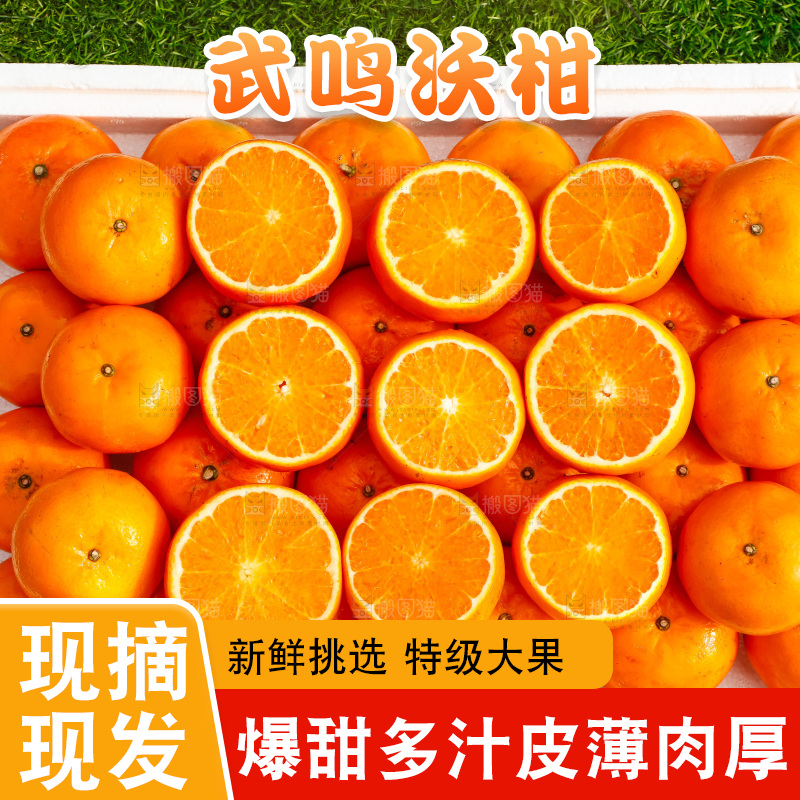 堆放着的新鲜沃柑