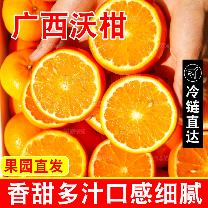 堆放着的新鲜沃柑