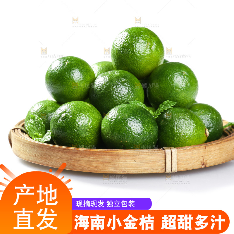 白底上的小金桔