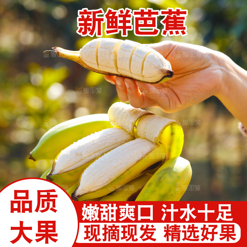 手里拿着广西芭蕉