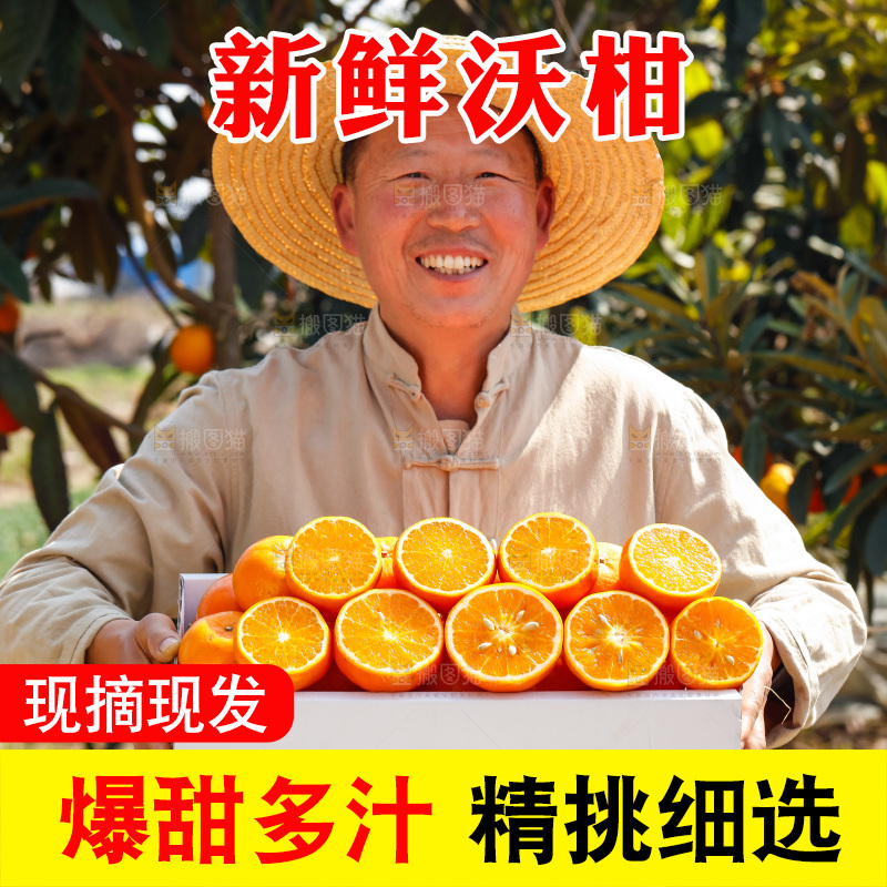 手里拿着沃柑
