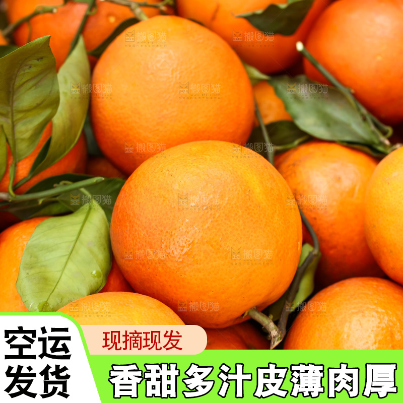 堆放着的血橙