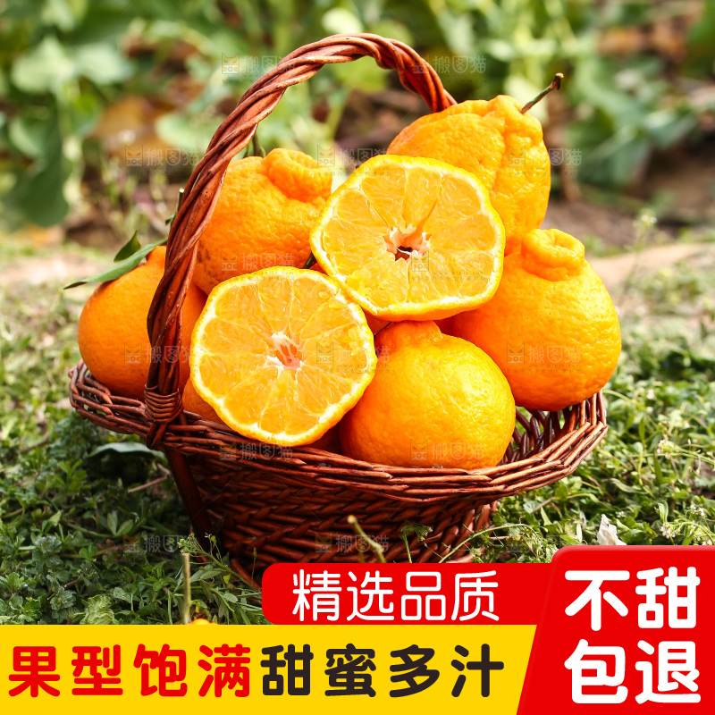 草地上的耙耙柑