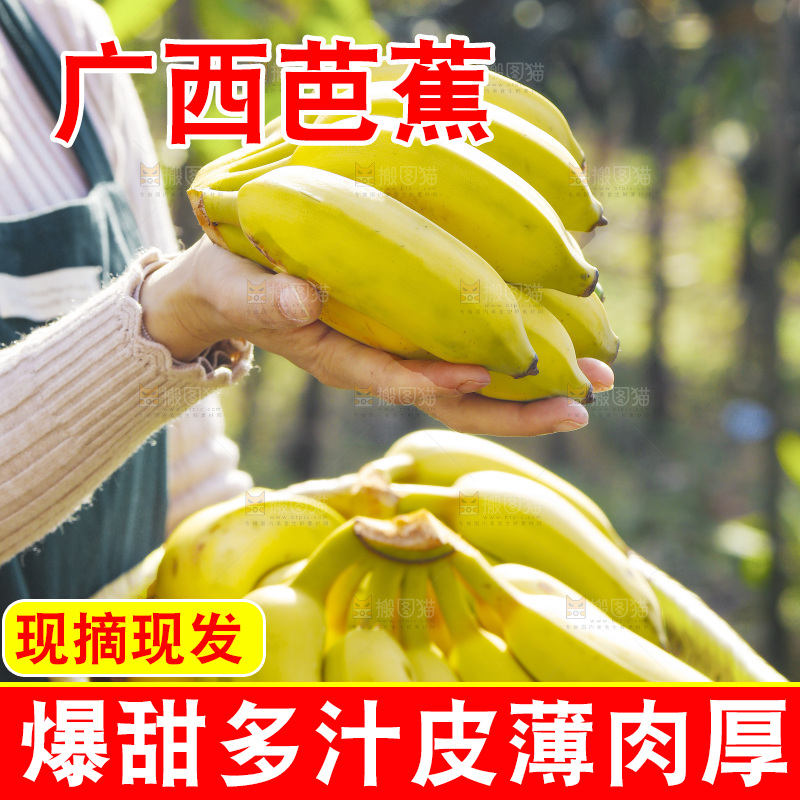 手里拿着广西芭蕉