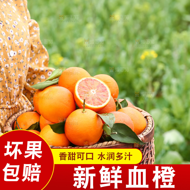 手里拿着赣南血橙