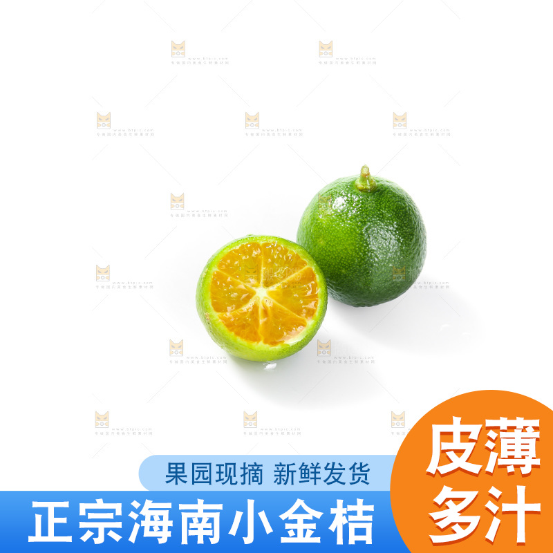 白底上的小金桔