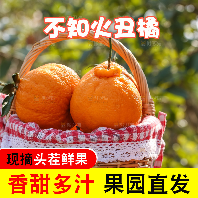 手里拿着丑八怪