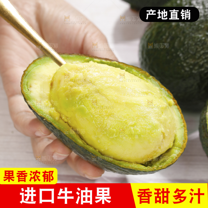 浅底上的巨无霸牛油果