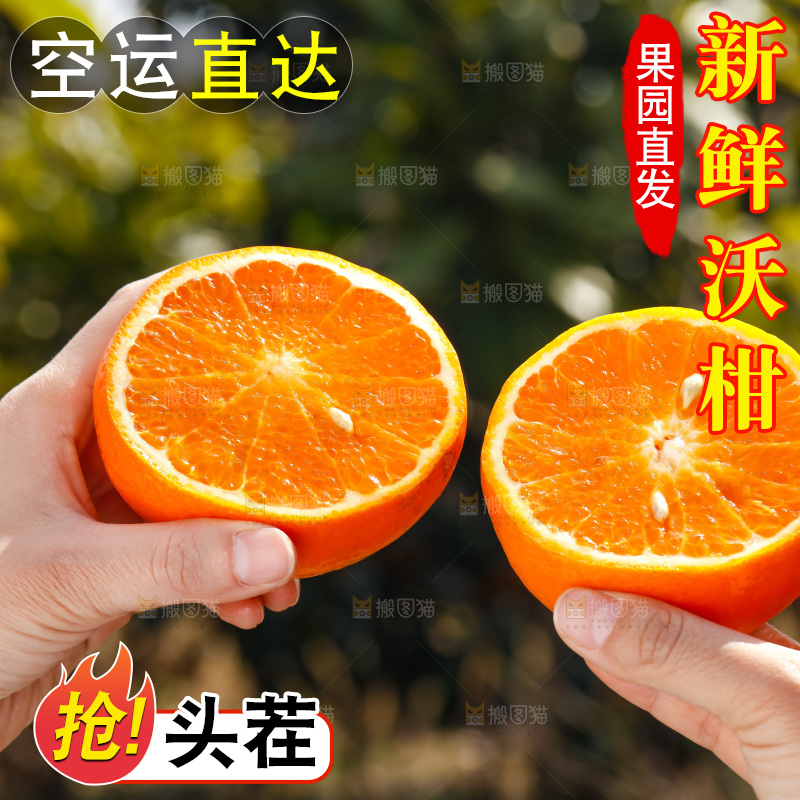 手里拿着沃柑