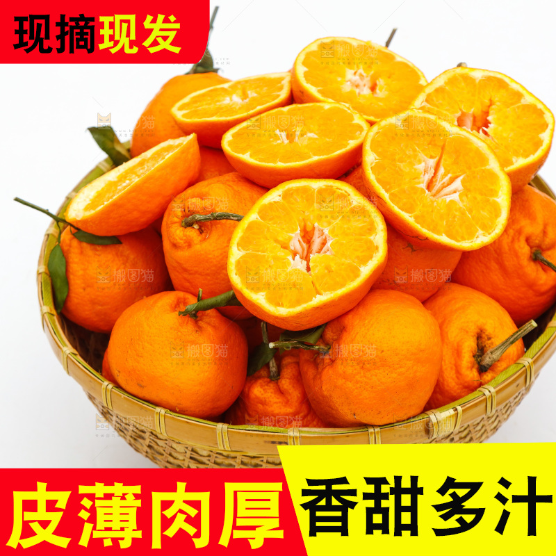 白底上的耙耙柑