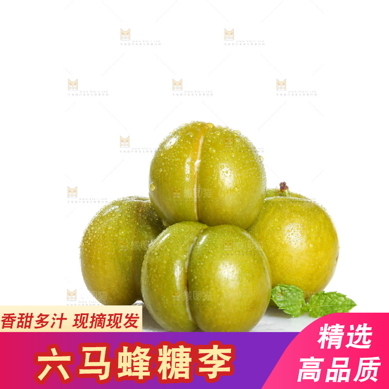 白底上的蜂糖李